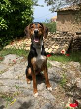 Mateo during playtime